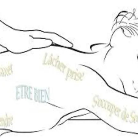 Mobile - Sleeps 4 - Parking - Family Pools Feriehus Saint-Jean-de-Monts